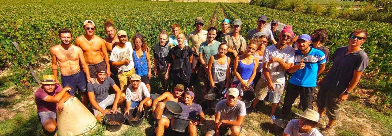 Merci à tous nos stagiaires