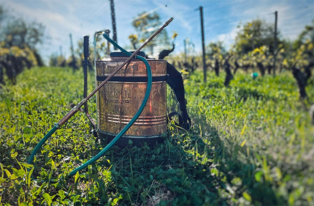 La biodiversité dans le vignoble