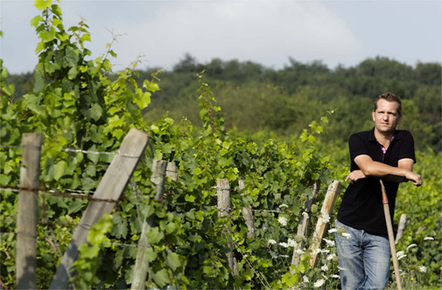 Prendre soin de la vigne