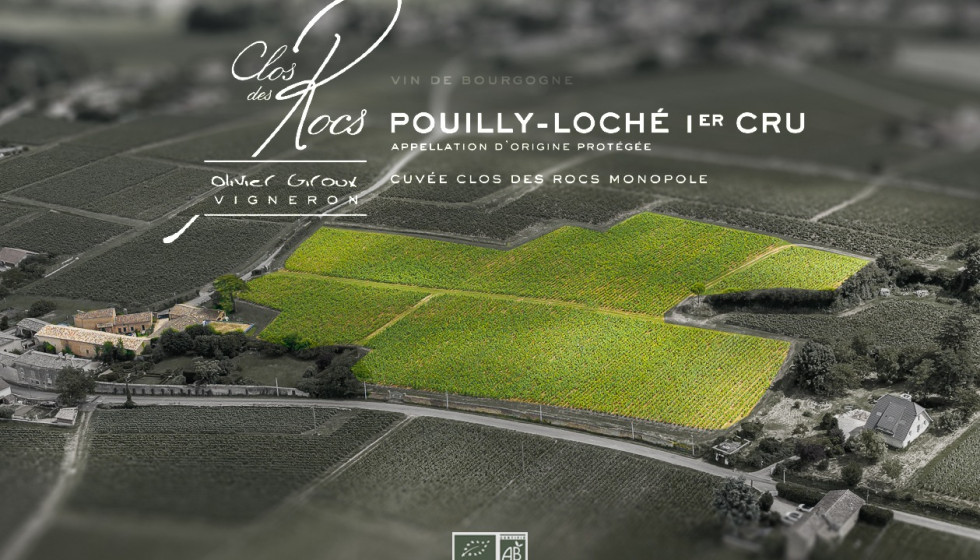 Premier Cru