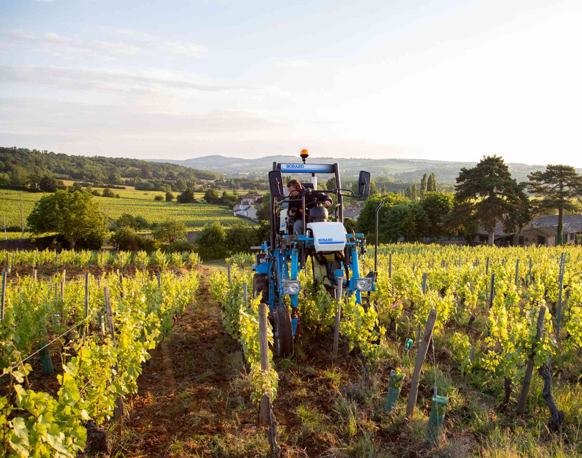 L’équipe du Clos des Rocs